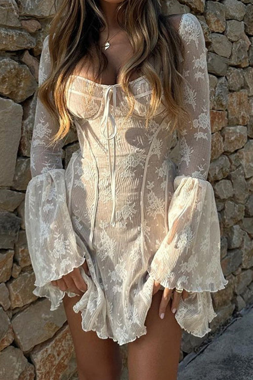 Days of Beauty Lace Long Sleeve Mini Dress