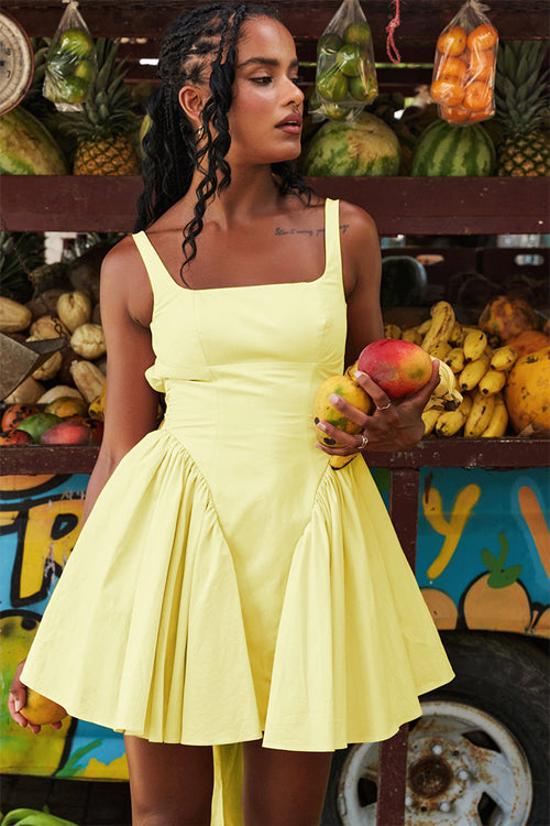 Summer Journey Tie-Back Skater Mini Dress