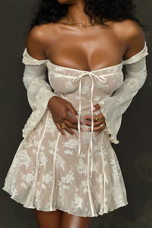 Days of Beauty Lace Long Sleeve Mini Dress