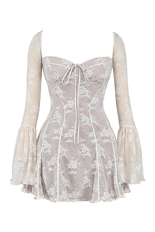 Days of Beauty Lace Long Sleeve Mini Dress