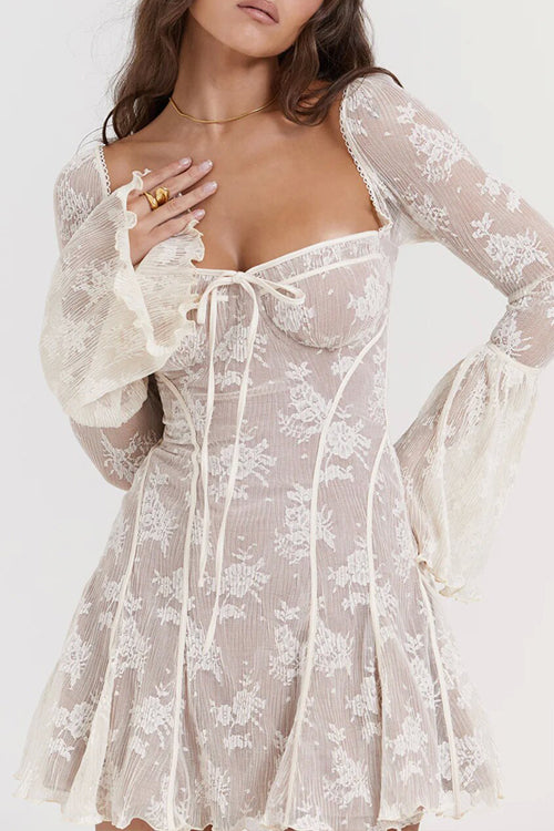 Days of Beauty Lace Long Sleeve Mini Dress